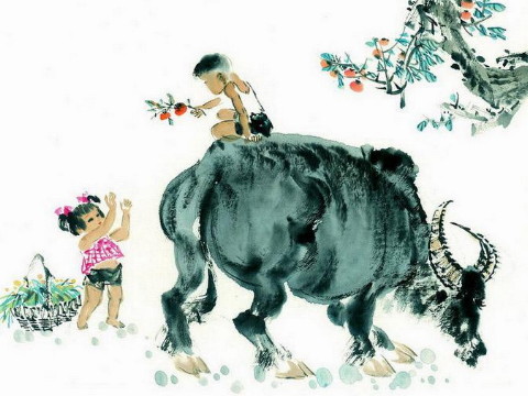 1997年早上生一头牛好吗