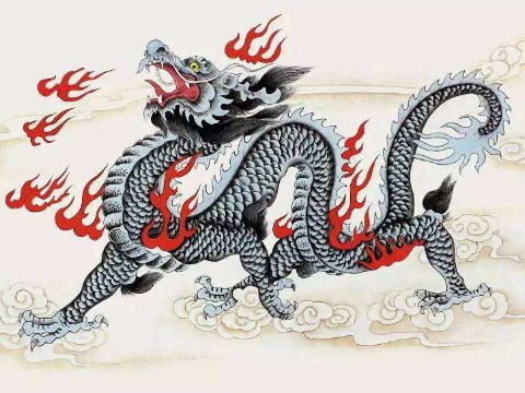 1964年和2021年龙的幸运色是什么