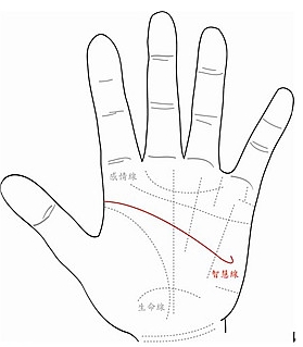 如何看待智慧线