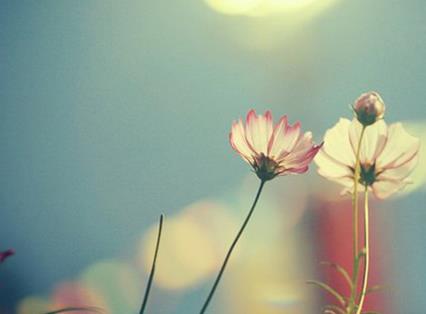 不利于婚姻和感情