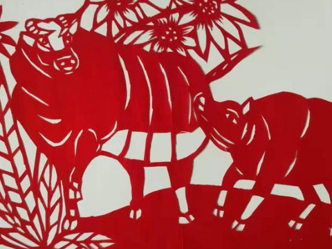 1997年属什么命1997年属牛人最佳配偶