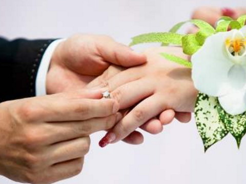 老虎和绵羊会碰撞吗?老虎和绵羊不同意吗