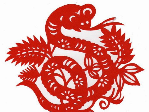 2021年蛇的出生年龄是多少？