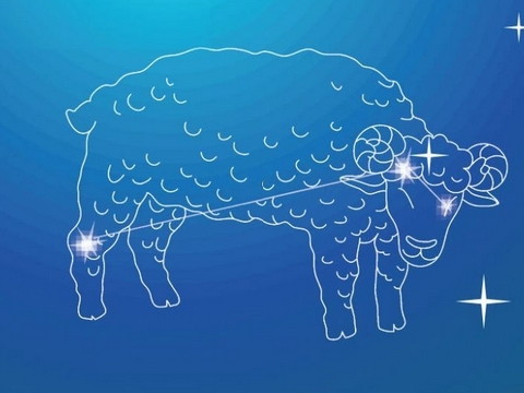 白羊座如何走出爱情