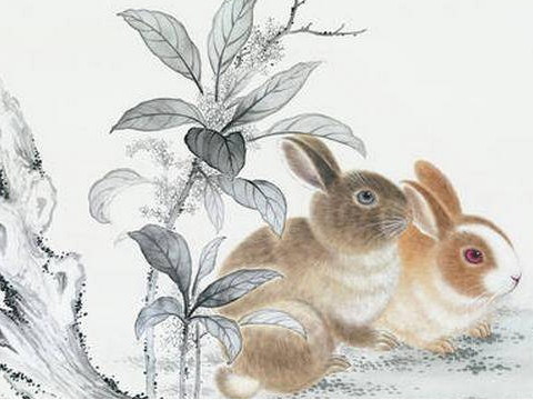 1963年农历兔子的命运和发展