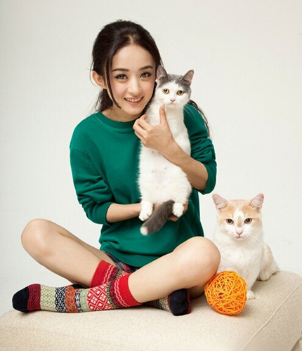 属鼠的人几月出生好