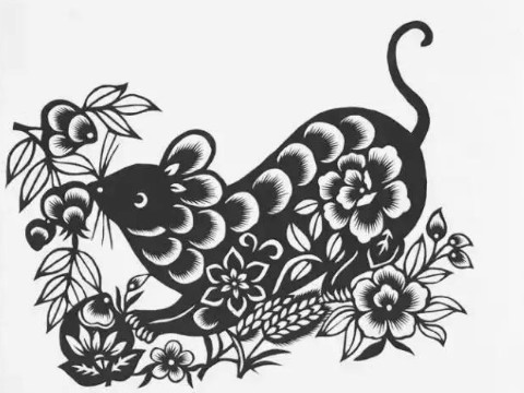 哪一个月是老鼠出生的最佳农历