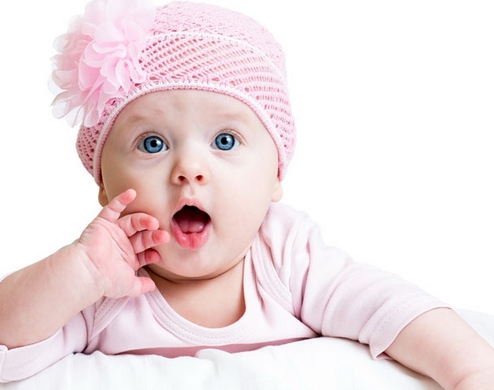 如何给小绵羊取名