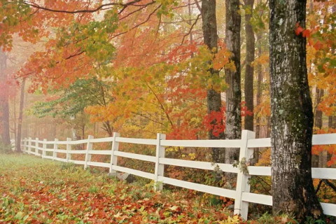 性格软弱的人如何保住自己的钱