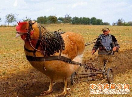 让穷人很难翻身的风水格局