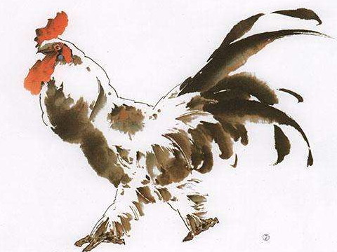 2021年2017年出生的鸡多大了