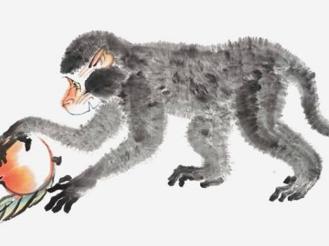 1968年和2021年猴子的幸运色是什么