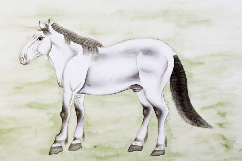 哪些生肖女有贵族气质