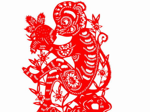 80年后的母猴生活如何？