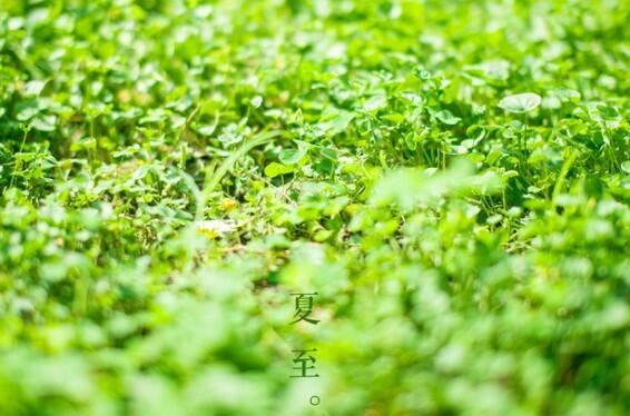 如何在漫长的夏天保持健康