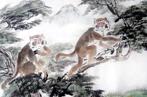 对猴子来说,什么是好兆头