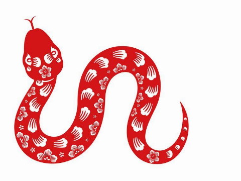 1989年属蛇的几月出生最好