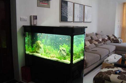 家居水族装饰是风水