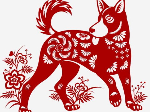 为什么2021年属狗的是一个坎