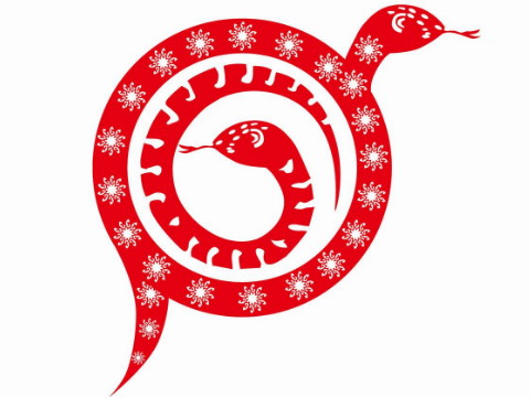 什么手镯对蛇有好处