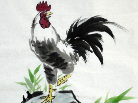 2021年1981年出生的鸡多大了