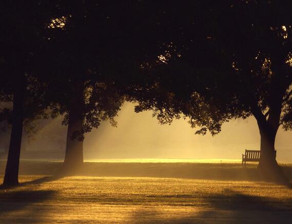 女孩的昵称是悲伤和令人心碎的