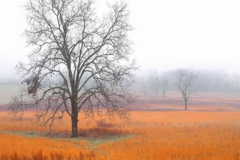 什么八字命难聚财