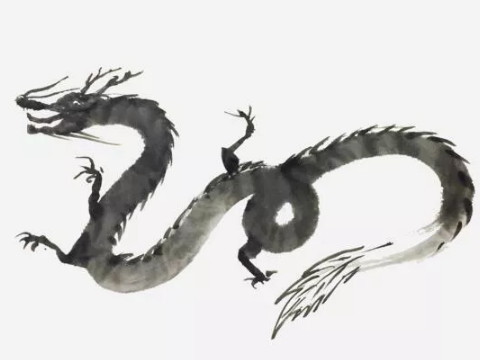 1988年，龙男和龙女的最佳搭配是什么