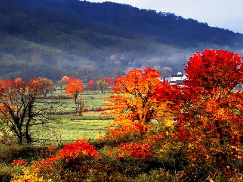 八字看桃花旺弱