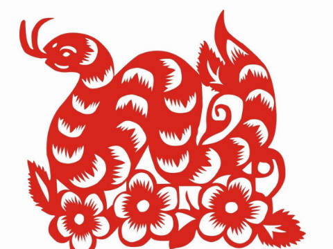 1977年，是大蛇运动。是哪一年