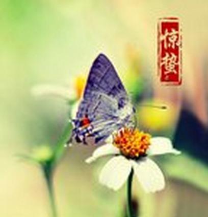 惊人的节气知识