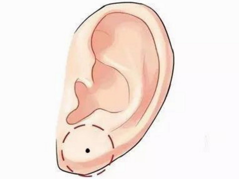 有钱的痣长在哪里？女人在哪里长一颗有钱的痣？