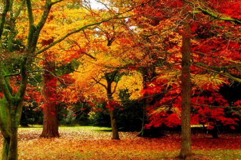 富人的八字特征