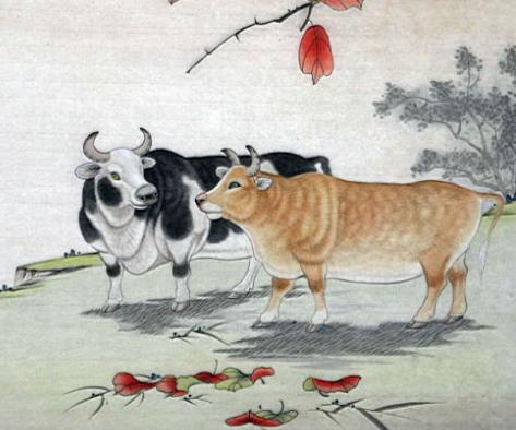 十二生肖牛的最佳伴侣