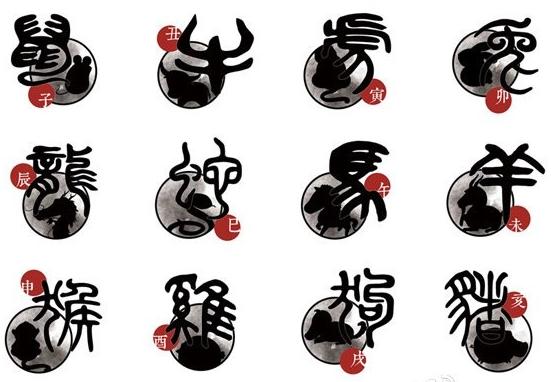 十二属中最适合的属是什么