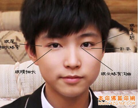 桃花眼是什么样子的