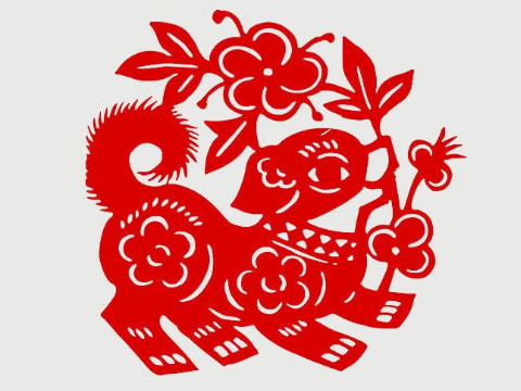 公狗娶母鼠好不好？