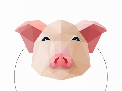 生在猪丑时的男孩命运好吗