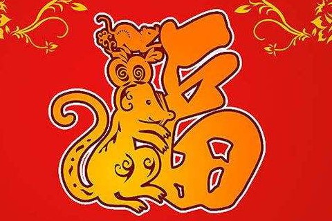 2020年最适合的生肖是2020年的顺滑星座