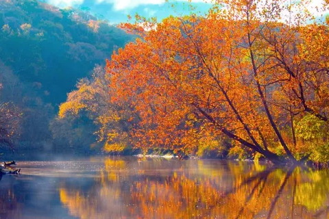 八个字告诉你哪个女人容易嫁