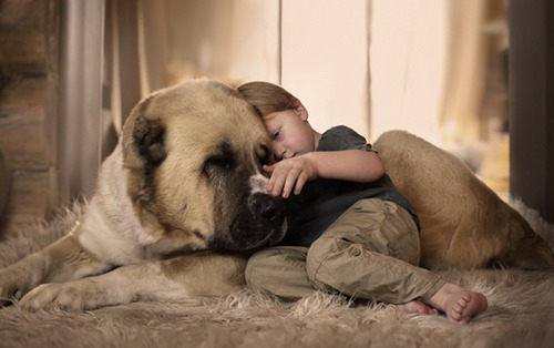 五行中缺水的羊宝宝的名字