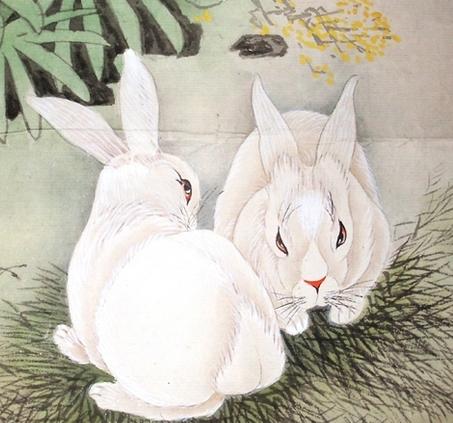 生肖兔配对大全