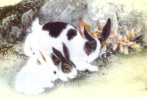 2019年部分财富最佳生肖