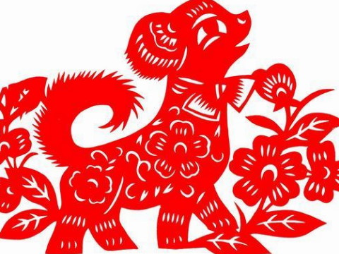 对狗的惩罚有什么解决办法？2021年是解决狗的惩罚