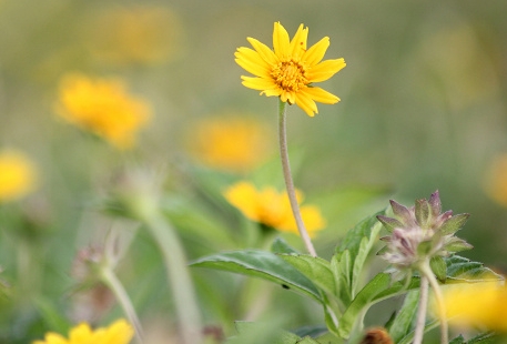 如何计算姓名和性格