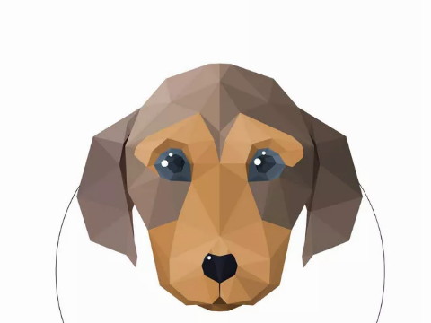 狗丑的时候生的男孩命运好吗