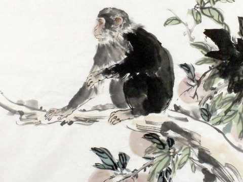 1980年和2021年猴子的幸运色是什么