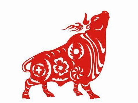 2021年牛年应该做什么