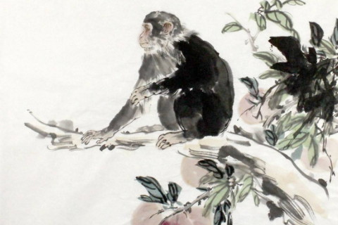 喜欢炫耀的生肖