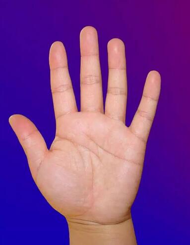 赔钱的手是什么样的手掌